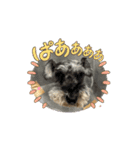 富田家のブルー！（個別スタンプ：11）
