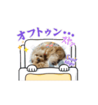 ぷりんとしぇりのすたんぷ（個別スタンプ：5）