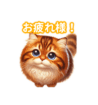 とにかくかわいいエキゾチックロングヘアー（個別スタンプ：1）
