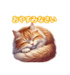 とにかくかわいいエキゾチックロングヘアー（個別スタンプ：6）