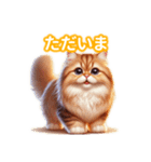とにかくかわいいエキゾチックロングヘアー（個別スタンプ：9）