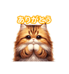 とにかくかわいいエキゾチックロングヘアー（個別スタンプ：12）