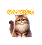 とにかくかわいいエキゾチックロングヘアー（個別スタンプ：16）