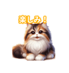 とにかくかわいいエキゾチックロングヘアー（個別スタンプ：19）