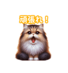 とにかくかわいいエキゾチックロングヘアー（個別スタンプ：22）