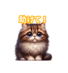 とにかくかわいいエキゾチックロングヘアー（個別スタンプ：37）