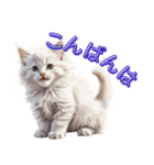 可愛い子猫のお返事2（個別スタンプ：3）