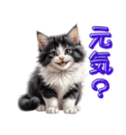 可愛い子猫のお返事2（個別スタンプ：5）