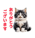 可愛い子猫のお返事2（個別スタンプ：13）