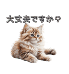 可愛い子猫のお返事2（個別スタンプ：19）