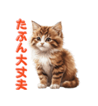 可愛い子猫のお返事2（個別スタンプ：23）