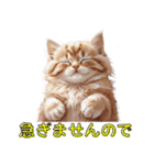 可愛い子猫のお返事2（個別スタンプ：29）