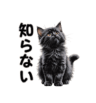 可愛い子猫のお返事2（個別スタンプ：35）