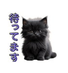 可愛い子猫のお返事2（個別スタンプ：37）