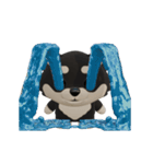 動くかわいい3Dポメラニアン（個別スタンプ：9）