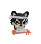 動くかわいい3Dポメラニアン（個別スタンプ：16）