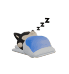 動くかわいい3Dポメラニアン（個別スタンプ：17）