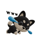 動くかわいい3Dポメラニアン（個別スタンプ：20）
