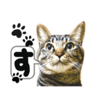 るぅ。の にゃんこ指定【あかさたな】（個別スタンプ：13）
