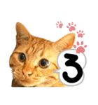 るぅ。の にゃんこ指定【はまやらわ】（個別スタンプ：18）