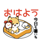 飛びだす！子ぎつねとあひるの夏2（個別スタンプ：1）