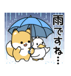 飛びだす！子ぎつねとあひるの夏2（個別スタンプ：3）