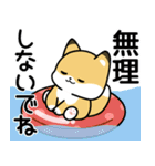 飛びだす！子ぎつねとあひるの夏2（個別スタンプ：11）