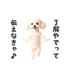 関西弁♡エッホエッホプードル（個別スタンプ：2）