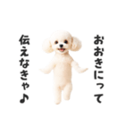 関西弁♡エッホエッホプードル（個別スタンプ：4）