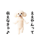関西弁♡エッホエッホプードル（個別スタンプ：5）