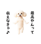 関西弁♡エッホエッホプードル（個別スタンプ：6）
