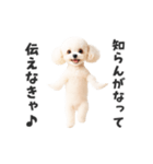 関西弁♡エッホエッホプードル（個別スタンプ：7）