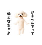 関西弁♡エッホエッホプードル（個別スタンプ：12）