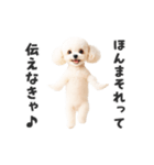 関西弁♡エッホエッホプードル（個別スタンプ：13）