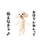 関西弁♡エッホエッホプードル（個別スタンプ：14）