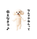 関西弁♡エッホエッホプードル（個別スタンプ：15）
