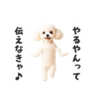 関西弁♡エッホエッホプードル（個別スタンプ：17）