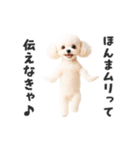 関西弁♡エッホエッホプードル（個別スタンプ：21）