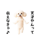関西弁♡エッホエッホプードル（個別スタンプ：22）