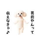 関西弁♡エッホエッホプードル（個別スタンプ：23）
