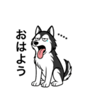 名前入りハスキーブラック（個別スタンプ：1）