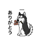 名前入りハスキーブラック（個別スタンプ：2）
