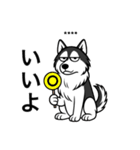 名前入りハスキーブラック（個別スタンプ：6）