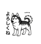 名前入りハスキーブラック（個別スタンプ：8）