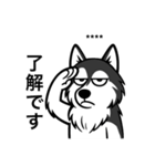 名前入りハスキーブラック（個別スタンプ：19）