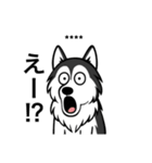 名前入りハスキーブラック（個別スタンプ：23）