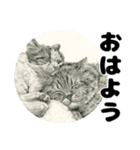 納期と戦う猫たち - 山田猫 vol.17（個別スタンプ：1）