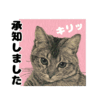 納期と戦う猫たち - 山田猫 vol.17（個別スタンプ：3）