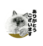 納期と戦う猫たち - 山田猫 vol.17（個別スタンプ：5）