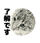 納期と戦う猫たち - 山田猫 vol.17（個別スタンプ：7）